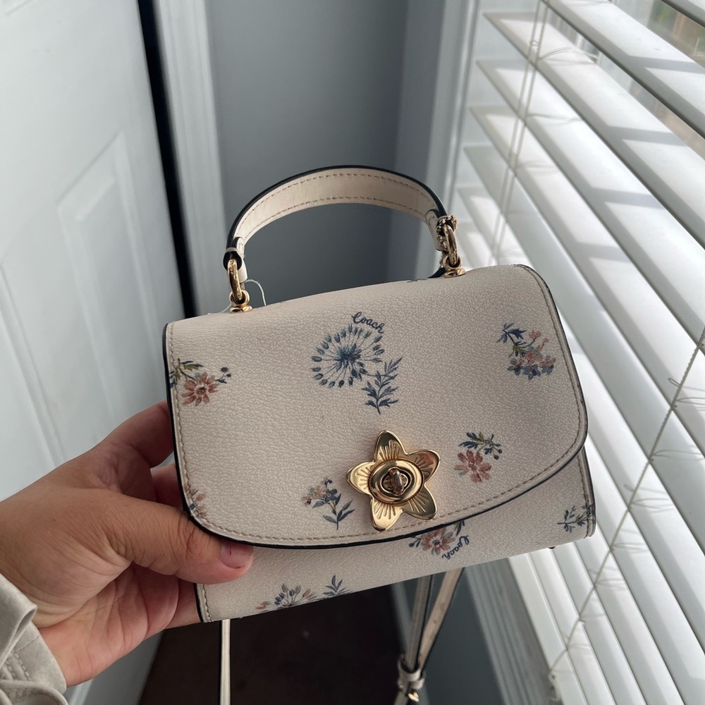 nice bag spring color is mini